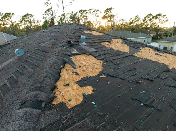 Best Sheet Metal Roofing  in Magna, UT