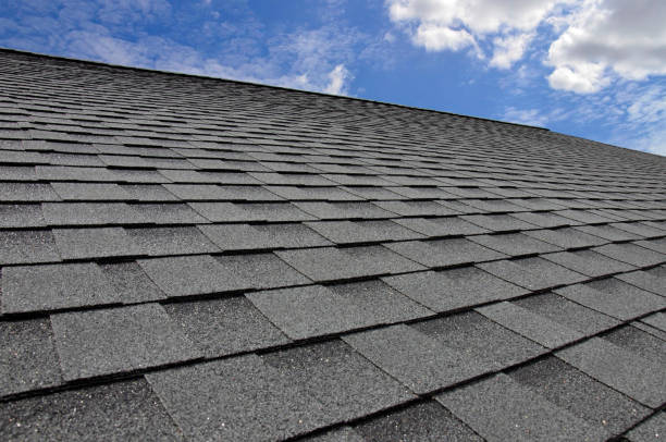 Best Skylight Installation and Repair  in Magna, UT